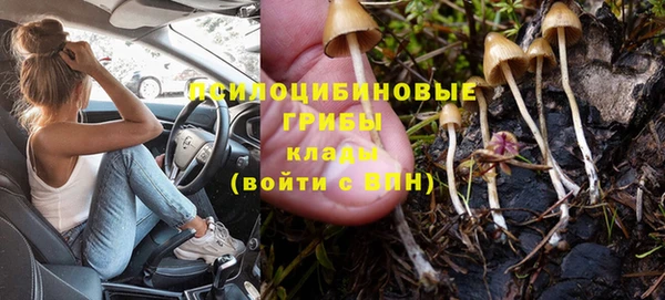 меф Осинники