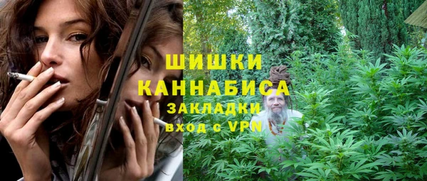 индика Остров