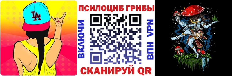 дарнет шоп  Серафимович  omg как зайти  Галлюциногенные грибы мицелий 